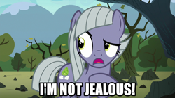 Size: 1280x720 | Tagged: safe, edit, edited screencap, editor:jaredking203, imported from derpibooru, screencap, limestone pie, earth pony, pony, the maud couple, blatant lies, caption, female, i'm not jealous limestone, image macro, jealous, mare, meme, text