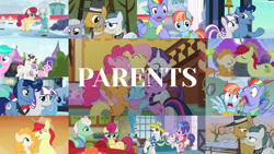 Size: 1976x1113 | Tagged: safe, edit, edited screencap, editor:quoterific, imported from derpibooru, screencap, applejack, aquamarine, bow hothoof, bright mac, cloudy quartz, cookie crumbles, fluttershy, gentle breeze, hondo flanks, igneous rock pie, limestone pie, linky, lyra heartstrings, night light, pear butter, pinkie pie, posey shy, rainbow dash, rarity, shoeshine, sweetie belle, twilight sparkle, twilight velvet, windy whistles, earth pony, pegasus, unicorn, a canterlot wedding, flutter brutter, hearthbreakers, inspiration manifestation, magical mystery cure, parental glideance, sisterhooves social, the crystalling, the cutie mark chronicles, the perfect pear, collage, dad six, group hug, hug, kissing, looking at each other, mane six, mom six, unicorn twilight