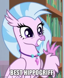 Size: 500x613 | Tagged: safe, edit, edited screencap, imported from derpibooru, screencap, silverstream, classical hippogriff, hippogriff, a horse shoe-in, best hippogriff, best pony, bookshelf, caption, cheerful, claws, cropped, cute, cutest hippogriff alive, diastreamies, female, grin, image macro, imgflip, jewelry, necklace, smiling, solo, talons, teenager, text, waving