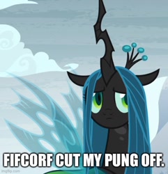Size: 500x518 | Tagged: safe, edit, edited screencap, imported from derpibooru, screencap, queen chrysalis, pony, frenemies (episode), caption, cropped, image macro, imgflip, implied discord, solo, text