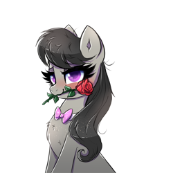 Size: 2000x2000 | Tagged: safe, artist:confetticakez, imported from derpibooru, octavia melody, earth pony, pony, blushing, bowtie, chest fluff, cute, female, flower, flower in mouth, high res, looking at you, mare, mouth hold, romantic, rose, rose in mouth, simple background, solo, tavibetes, white background