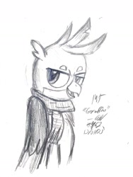 Size: 1408x1872 | Tagged: safe, artist:johnerose126, imported from derpibooru, gallus, griffon, clothes, monochrome, scarf, smiling, smirk, solo, traditional art