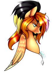Size: 1200x1600 | Tagged: safe, artist:minelvi, imported from derpibooru, oc, oc only, pegasus, pony, bust, jewelry, necklace, pegasus oc, simple background, solo, transparent background, wings