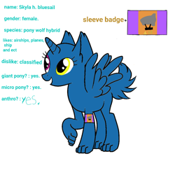 Size: 1000x1000 | Tagged: safe, artist:calebtyink, imported from derpibooru, oc, oc:skyla h. bluesail, alicorn, hybrid, wolf, wolf pony, airship, blimp, female, heterochromia, mare, paws, sleeve badge