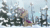 Size: 1920x1080 | Tagged: safe, artist:brutalweather studio, imported from derpibooru, oc, oc only, oc:lotus cinder, kirin, animated, catching snowflakes, cute, descriptive noise, eyes closed, forest, horse noises, kirin oc, kirinbetes, show accurate, smiling, snow, snowfall, snowflake, solo, sound, tree, webm, winter