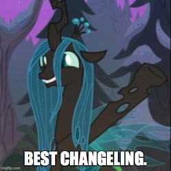 Size: 500x502 | Tagged: safe, edit, edited screencap, imported from derpibooru, screencap, queen chrysalis, changeling, changeling queen, frenemies (episode), best changeling, best pony, caption, crown, cute, cutealis, female, happy, image macro, imgflip, jewelry, mare, needs more jpeg, regalia, smiling, solo, text, truth