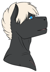 Size: 646x917 | Tagged: safe, artist:imreer, imported from derpibooru, oc, oc only, anthro, earth pony, bust, earth pony oc, simple background, solo, transparent background