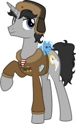 Size: 1802x2931 | Tagged: safe, artist:lightning stripe, derpibooru exclusive, imported from derpibooru, trixie, oc, oc only, oc:ragtime melody, pony, unicorn, derpibooru community collaboration, 2022 community collab, black mane, black tail, blue eyes, clothes, commission, cutie mark, flask, gray coat, hat, jacket, long legs, male, medal, medals, one hoof raised, raised hoof, scowl, scowling, show accurate, simple background, solo, stallion, transparent background, trixie plushie, ushanka, vector