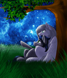 Size: 1753x2046 | Tagged: safe, imported from derpibooru, king sombra, oc, oc:light knight, good king sombra, good queen umbra, grass, night, queen umbra, rule 63, starry sky, stars, tree, tree branch