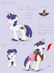 Size: 722x975 | Tagged: safe, artist:ravenpuff, imported from derpibooru, oc, oc only, oc:pious praiser, pony, unicorn, alicorn amulet, bust, chest fluff, d:, eye clipping through hair, eyes closed, fluffy, glowing horn, hooves to the chest, horn, magic, male, open mouth, quill, raised hoof, reference sheet, saddle, stallion, tack, telekinesis, text, unicorn oc, unshorn fetlocks