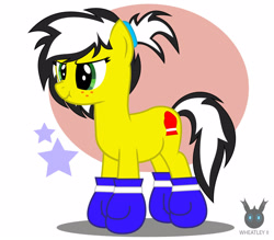 Size: 1418x1241 | Tagged: safe, alternate version, artist:wheatley r.h., derpibooru exclusive, imported from derpibooru, oc, oc only, oc:uppercute, earth pony, pony, boxing gloves, female, mane, mare, simple background, solo, vector, watermark, wavy mouth