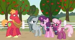 Size: 2064x1123 | Tagged: safe, imported from derpibooru, big macintosh, cheerilee, marble pie, sugar belle, earth pony, pony, unicorn, apple, apple tree, awkward, concerned, confused, female, food, friendship, friendshipping, happy ending, looking at each other, male, shipping, shocked, shocked expression, smiling, straight, stunned, sugarmac, surprised, surprised face, sweet apple acres, tree, worried, youtube link, youtube link in the description