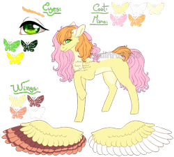 Size: 1002x900 | Tagged: safe, artist:malinraf1615, imported from derpibooru, oc, oc only, oc:ema, pegasus, pony, chest fluff, colored wings, female, mare, multicolored wings, next generation, offspring, parent:big macintosh, parent:fluttershy, parents:fluttermac, raised hoof, reference sheet, simple background, solo, transparent background, watermark, wings