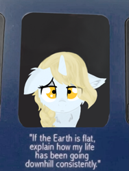 Size: 1071x1427 | Tagged: safe, artist:kotwitz, imported from derpibooru, oc, oc only, oc:aria taitava, pony, unicorn, braid, eye contact, flat earth, floppy ears, fluffy, frown, looking at each other, meme, sad, self deprecation, solo, text