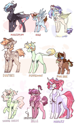 Size: 1585x2600 | Tagged: safe, artist:mcwolfity, imported from derpibooru, oc, oc:aero, oc:belle, oc:campfire, oc:halley, oc:maelstrom, oc:marigold, oc:peppermint, oc:pinecone, oc:string cheese, alicorn, hybrid, pegasus, pony, unicorn, alicorn oc, chest fluff, curved horn, ethereal mane, eye clipping through hair, female, hat, horn, interspecies offspring, leonine tail, looking back, magical lesbian spawn, male, mare, offspring, parent:applejack, parent:caramel, parent:dumbbell, parent:flam, parent:fluttershy, parent:pinkie pie, parent:prince rutherford, parent:rainbow dash, parent:rarity, parent:tempest shadow, parent:twilight sparkle, parents:carajack, parents:dumbdash, parents:flamjack, parents:flarity, parents:pinkieford, parents:tempestlight, raised hoof, simple background, stallion, starry mane, transparent background