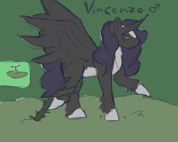 Size: 5000x4000 | Tagged: safe, artist:jester englie, deleted from derpibooru, imported from derpibooru, oc, oc:vincenzo, alicorn, male, solo