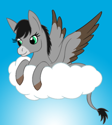 Size: 664x740 | Tagged: safe, artist:chili19, imported from derpibooru, oc, oc only, donkey, hybrid, pony, cloud, colored hooves, donkey oc, female, on a cloud, smiling, solo, wings