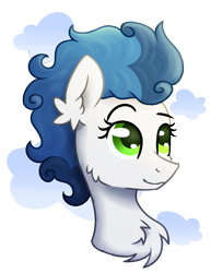 Size: 757x983 | Tagged: safe, artist:lambydwight, imported from derpibooru, oc, oc only, pony, chest fluff, ear fluff, simple background, solo, transparent background