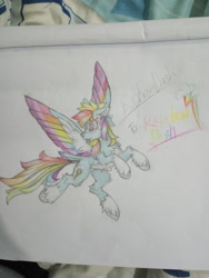 Size: 1080x1440 | Tagged: safe, artist:creature.exist, imported from derpibooru, rainbow dash, pegasus, pony, fluffy, solo, traditional art