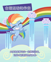 Size: 370x450 | Tagged: safe, imported from derpibooru, part of a set, rainbow dash, pegasus, pony, my little pony: pony life, animated, backwards cutie mark, china, chinese, cloudsdale, coronavirus, covid-19, female, flying, g4.5, official, part of a series, rainbow, solo, spread legs, spreading, translated in the comments, translation request