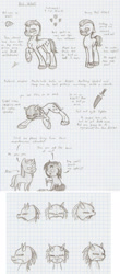 Size: 851x1934 | Tagged: safe, artist:ravenpuff, imported from derpibooru, oc, oc only, oc:alias, oc:puffy, oc:red velvet, earth pony, pony, unicorn, bust, earth pony oc, female, freckles, goggles, graph paper, grayscale, hoof hold, horn, knife, lineart, male, mare, mask, monochrome, mouth hold, pencil, pointy ponies, raised hoof, reference sheet, stallion, traditional art, unicorn oc, unshorn fetlocks