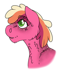 Size: 1280x1707 | Tagged: safe, artist:0ron0, deleted from derpibooru, imported from derpibooru, oc, oc:peachy keen, earth pony, pony, pandoraverse, bust, cheek fluff, female, freckles, mare, offspring, parent:big macintosh, parent:cheerilee, parents:cheerimac, solo