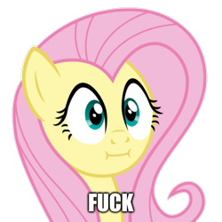 Size: 500x500 | Tagged: safe, edit, edited screencap, editor:joeydr, imported from derpibooru, screencap, fluttershy, pegasus, pony, :i, background removed, caption, female, fuck, image macro, mare, meme, simple background, solo, text, transparent background, vulgar, we bought two cakes