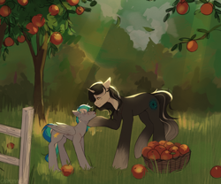 Size: 2048x1705 | Tagged: artist needed, safe, imported from derpibooru, oc, oc only, oc:caroline, oc:star shine, pegasus, pony, unicorn, wolf, wolf pony, apple, apple tree, basket, fence, food, tree, young