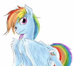 Size: 1400x1236 | Tagged: artist needed, safe, imported from derpibooru, rainbow dash, pegasus, pony, /mlp/, cute, dashabetes, drawthread, female, looking at you, simple background, solo, white background