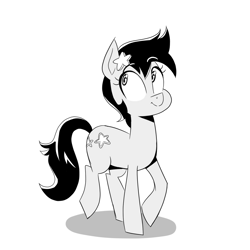 Size: 1500x1500 | Tagged: safe, artist:cassettepunk, imported from derpibooru, seven seas, star dancer, earth pony, my little pony: the manga, grayscale, monochrome, simple background, solo, white background