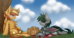 Size: 1841x952 | Tagged: safe, artist:ezzerie, imported from derpibooru, oc, bat pony, pegasus, basket, chest fluff, commission, duo, feather, picnic, picnic basket, picnic blanket, tree, wholesome