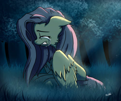 Size: 1920x1600 | Tagged: safe, artist:hrukii, artist:navokin, imported from derpibooru, fluttershy, pegasus, pony, cheek fluff, crepuscular rays, crying, eyes closed, female, floppy ears, forest, gritted teeth, mare, moonlight, night, outdoors, profile, sad, sitting, solo, spread wings, teary eyes, wings