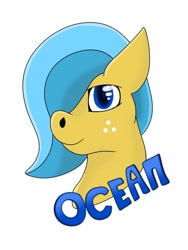 Size: 510x680 | Tagged: safe, artist:valyriaart, imported from derpibooru, oc, oc only, oc:ocean shore, badge