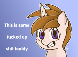 Size: 2120x1548 | Tagged: safe, artist:redpalette, imported from derpibooru, oc, oc only, oc:white shield, pony, unicorn, male, meme, solo, stallion, text, vulgar