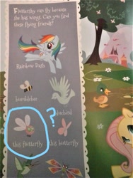Size: 960x1280 | Tagged: safe, imported from derpibooru, fluttershy, rainbow dash, bird, bluebird, butterfly, dragonfly, duck, hummingbird, insect, parasprite, pegasus, pony, book, bumblebee, flutterfly, look and find, my little pony look and find, page, prepress error, you had one job