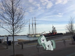 Size: 3264x2448 | Tagged: safe, artist:mrkupkake, edit, editor:topsangtheman, imported from derpibooru, marble pie, pony, canada, harbor, irl, looking at you, photo, ponies in real life, ship, solo