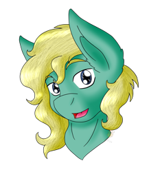 Size: 1147x1231 | Tagged: safe, artist:midnightfire1222, imported from derpibooru, oc, oc only, oc:mikayell, earth pony, pony, bust, commission, portrait, simple background, solo, transparent background