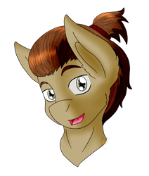 Size: 1063x1252 | Tagged: safe, artist:midnightfire1222, imported from derpibooru, oc, oc only, oc:neighrator pony, earth pony, pony, bust, commission, portrait, simple background, solo, transparent background