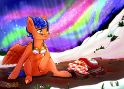 Size: 1400x1000 | Tagged: safe, artist:miarmika, artist:scorpi, imported from derpibooru, oc, oc:griffin, pegasus, pony, aurora borealis, bag, blanket, male, snow, ych result