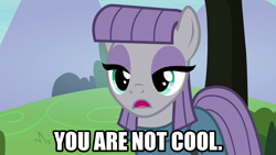 Size: 1280x720 | Tagged: safe, artist:jaredking203, edit, edited screencap, imported from derpibooru, screencap, maud pie, earth pony, pony, the maud couple, caption, female, image macro, meme, open mouth, text