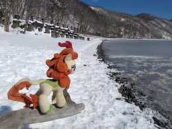 Size: 2048x1536 | Tagged: safe, artist:hihin1993, imported from derpibooru, autumn blaze, kirin, forest, ice, irl, japan, photo, plushie, snow, solo