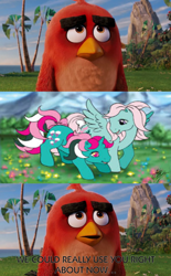 Size: 1024x1650 | Tagged: safe, edit, edited screencap, imported from derpibooru, screencap, fizzy, wind whistler, bird, cardinal, pegasus, pony, unicorn, angry birds, comic, crossover, dialogue, female, g1, mare, red bird, screencap comic, the angry birds movie