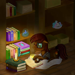 Size: 3000x3000 | Tagged: safe, artist:polkin, imported from derpibooru, oc, oc only, oc:kronos, pony, book, candle, clothes, figurine, library, reading, solo, watch