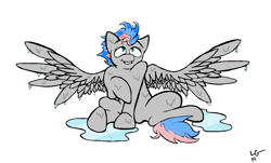 Size: 1448x876 | Tagged: safe, artist:lucas_gaxiola, imported from derpibooru, oc, oc only, pegasus, pony, grin, pegasus oc, puddle, simple background, smiling, solo, spread wings, wet mane, white background, wings