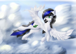 Size: 4092x2893 | Tagged: safe, artist:azzyalder, imported from derpibooru, oc, pegasus, sky