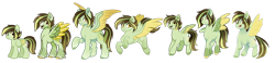 Size: 1024x238 | Tagged: safe, artist:ak4neh, imported from derpibooru, oc, oc only, pegasus, pony, alternate design, female, folded wings, g5, g5 concept leak style, mare, multeity, multiple variants, redesign, simple background, solo, spread wings, transparent background, wings