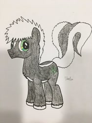 Size: 720x960 | Tagged: safe, artist:carty, imported from derpibooru, oc, oc only, oc:reeko sukanku, earth pony, pony, skunk, derpibooru community collaboration, 2022 community collab, skunkpony, solo, traditional art