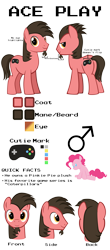 Size: 5000x11400 | Tagged: safe, artist:mrkat7214, imported from derpibooru, pinkie pie, oc, oc only, oc:ace play, earth pony, original species, plush pony, pony, facial hair, female, goatee, male, mare, plushie, pony plushie, reference sheet, semi-transparent, semi-transparent background, simple background, solo, stallion