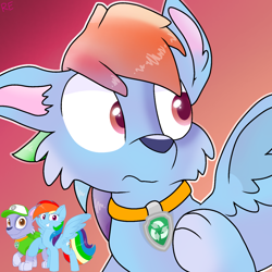 Size: 1250x1250 | Tagged: safe, artist:rainbow eevee, imported from derpibooru, rainbow dash, dog, pegasus, pony, character to character, collar, cute, gradient background, male to female, paw patrol, rocky (paw patrol), rule 63, rule63betes, simple background, transformation, transgender transformation, wat, winged dog