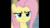 Size: 1920x1080 | Tagged: safe, edit, edited screencap, imported from derpibooru, screencap, fluttershy, pony, ai assisted, ai content, aivo, angry, avo, cool bug facts, copypasta, cropped, episode needed, female, fifteen.ai, meme, solo, sound, sound only, swearing, synthetic voice, text to speech, the pony machine learning project, voice, vulgar, webm